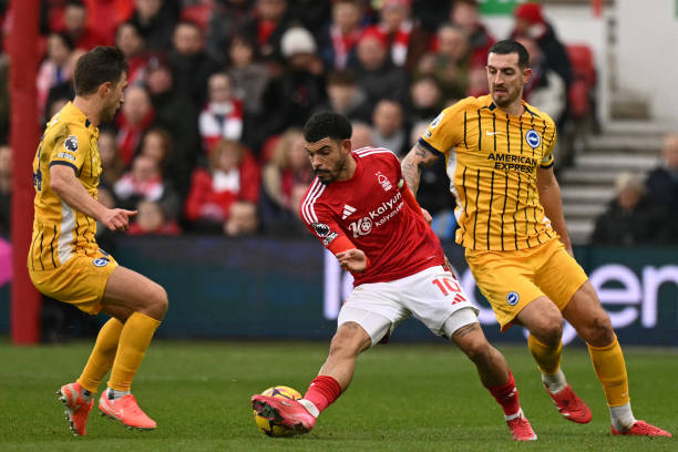 这一策略若 这一策略若